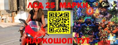 гидропоника Балашиха