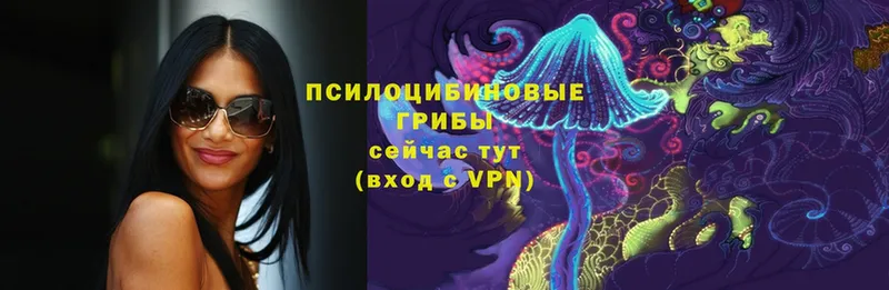 купить наркотики сайты  MEGA зеркало  Галлюциногенные грибы Psilocybe  Менделеевск 