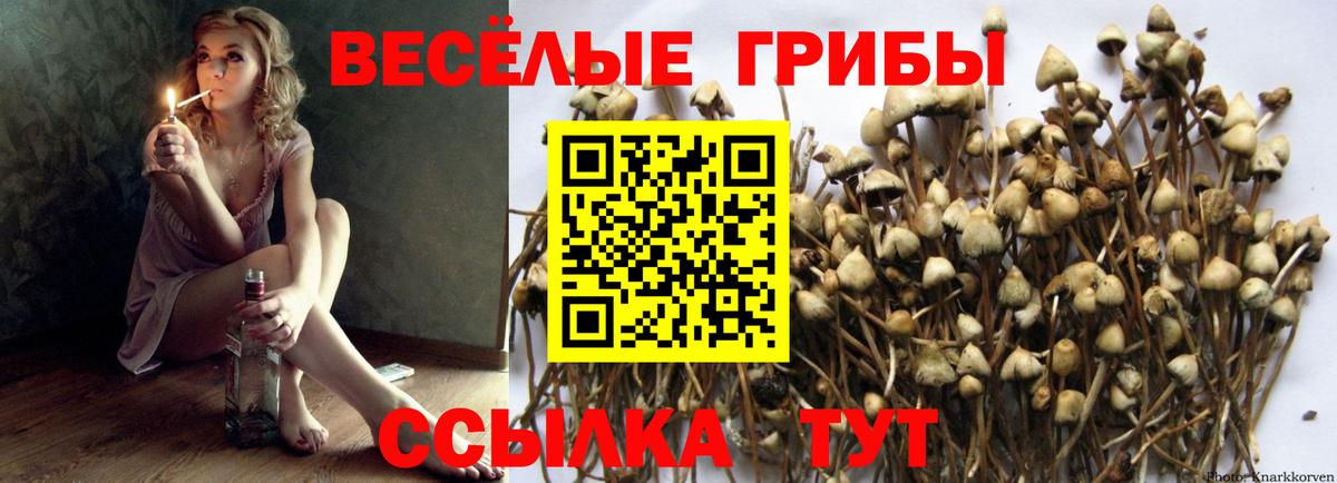 Галлюциногенные грибы MAGIC MUSHROOMS Менделеевск