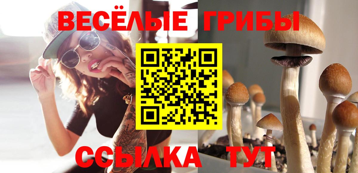 Псилоцибиновые грибы мухоморы  Вход с VPN  Менделеевск 